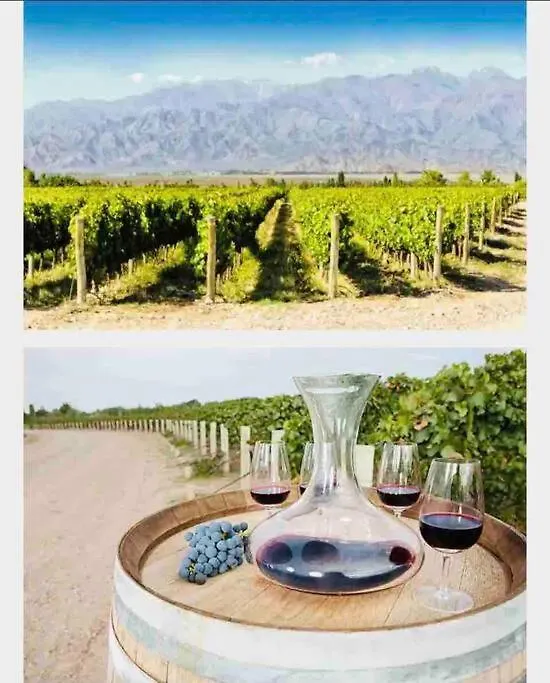 Mejor Ubicacion Mendoza, Ciudad Daire Mendoza